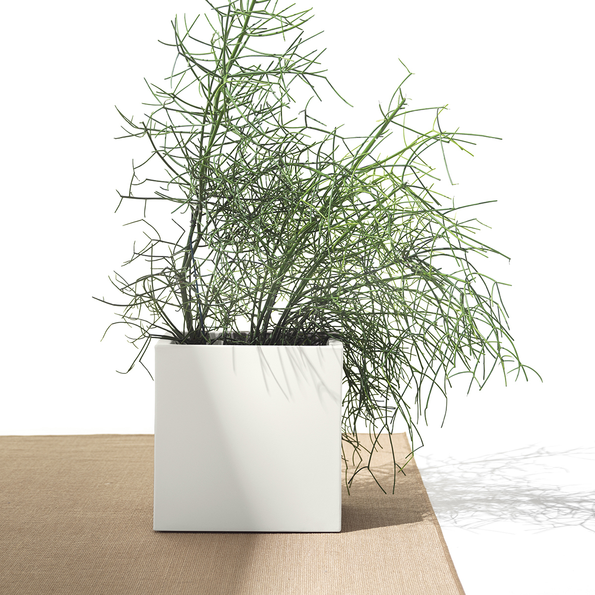 Square outdoor and indoor planter in Polietilene Loto 35cm — 2