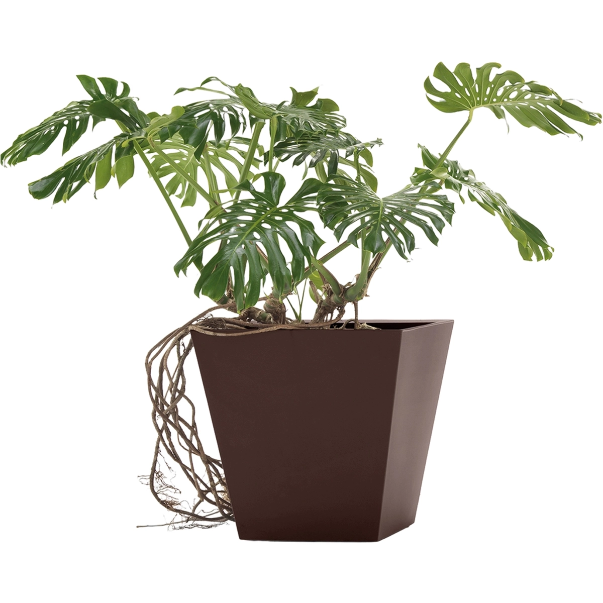 Modern polyethylene planter 50x50 cm Loto 50cm LYXO — 2