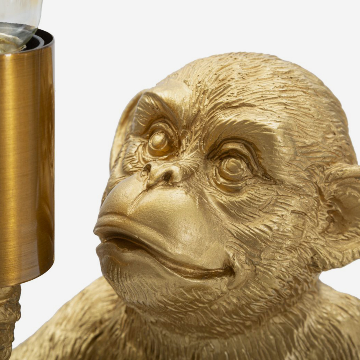 Monkey Decorative Table Lamp in Polyresin — 3