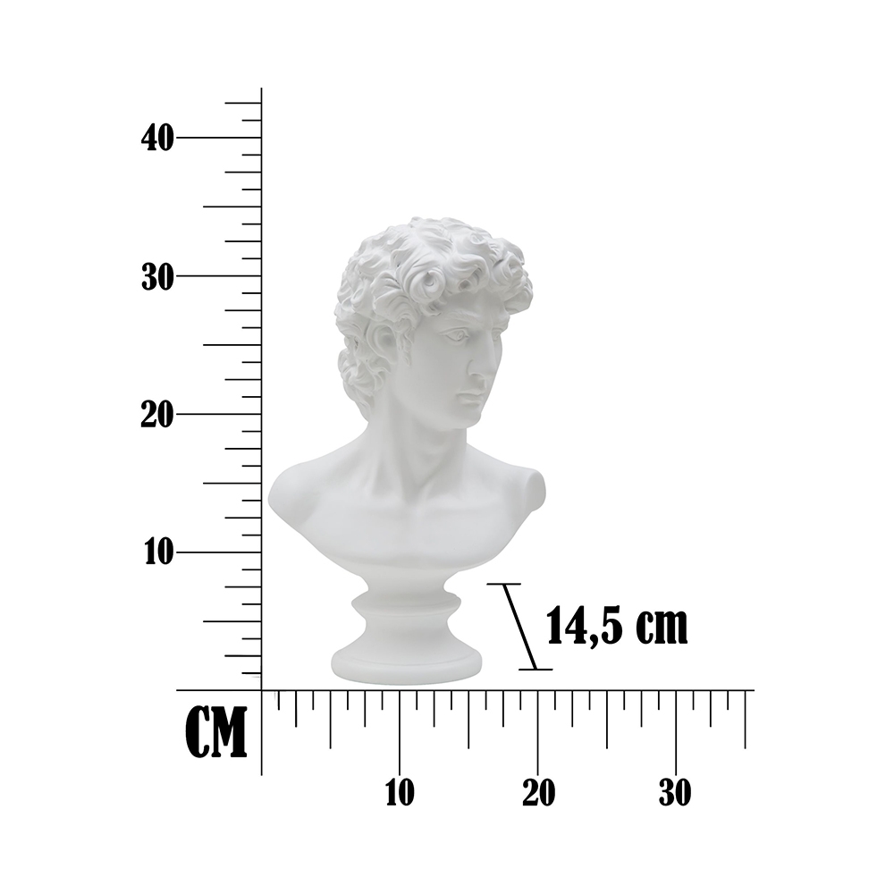Man decorative bust sculpture by Mauro Ferretti in polyresin 34 cm — 7