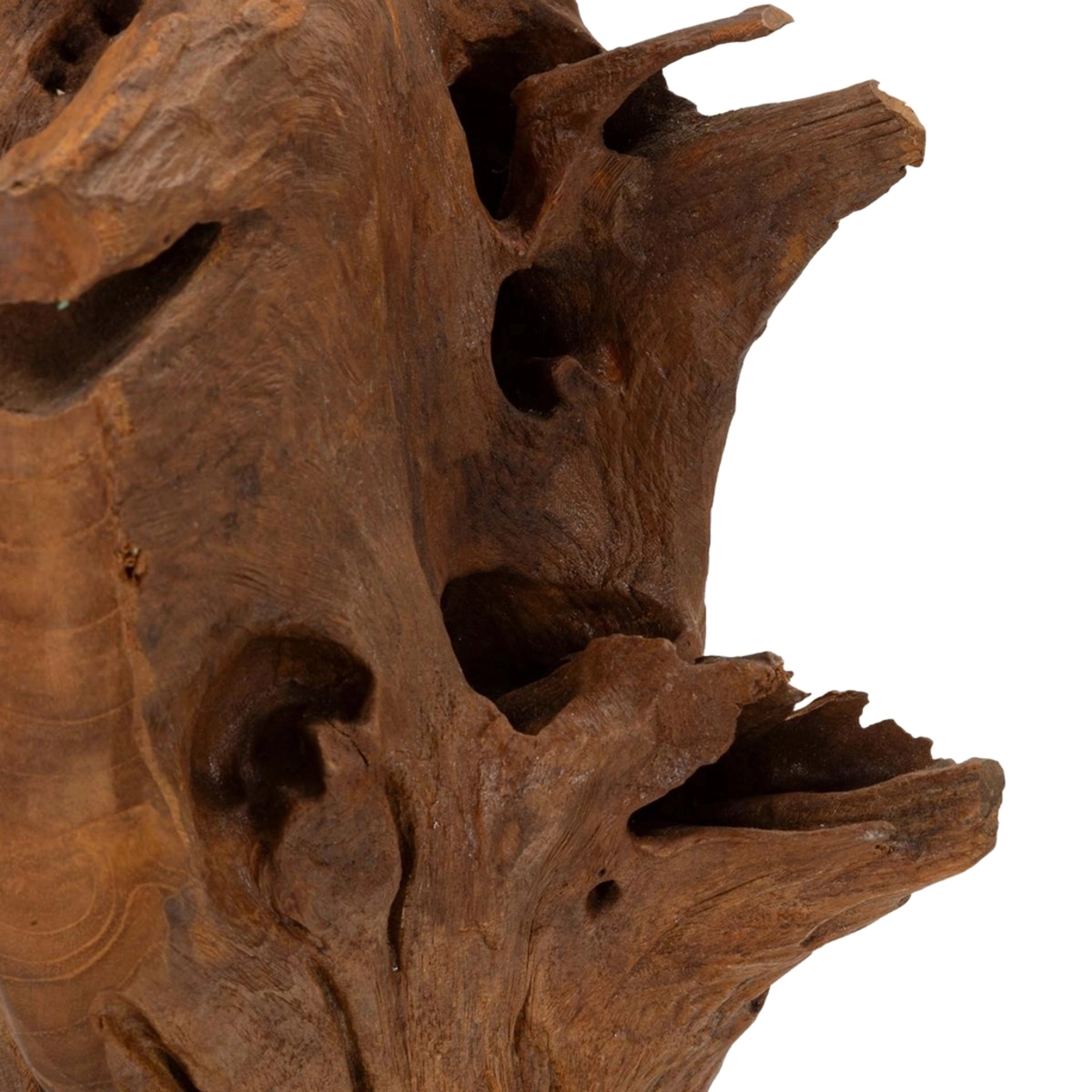 Handcrafted Ethnic Teak Wood Sculpture Akar Mauro Ferretti — 6