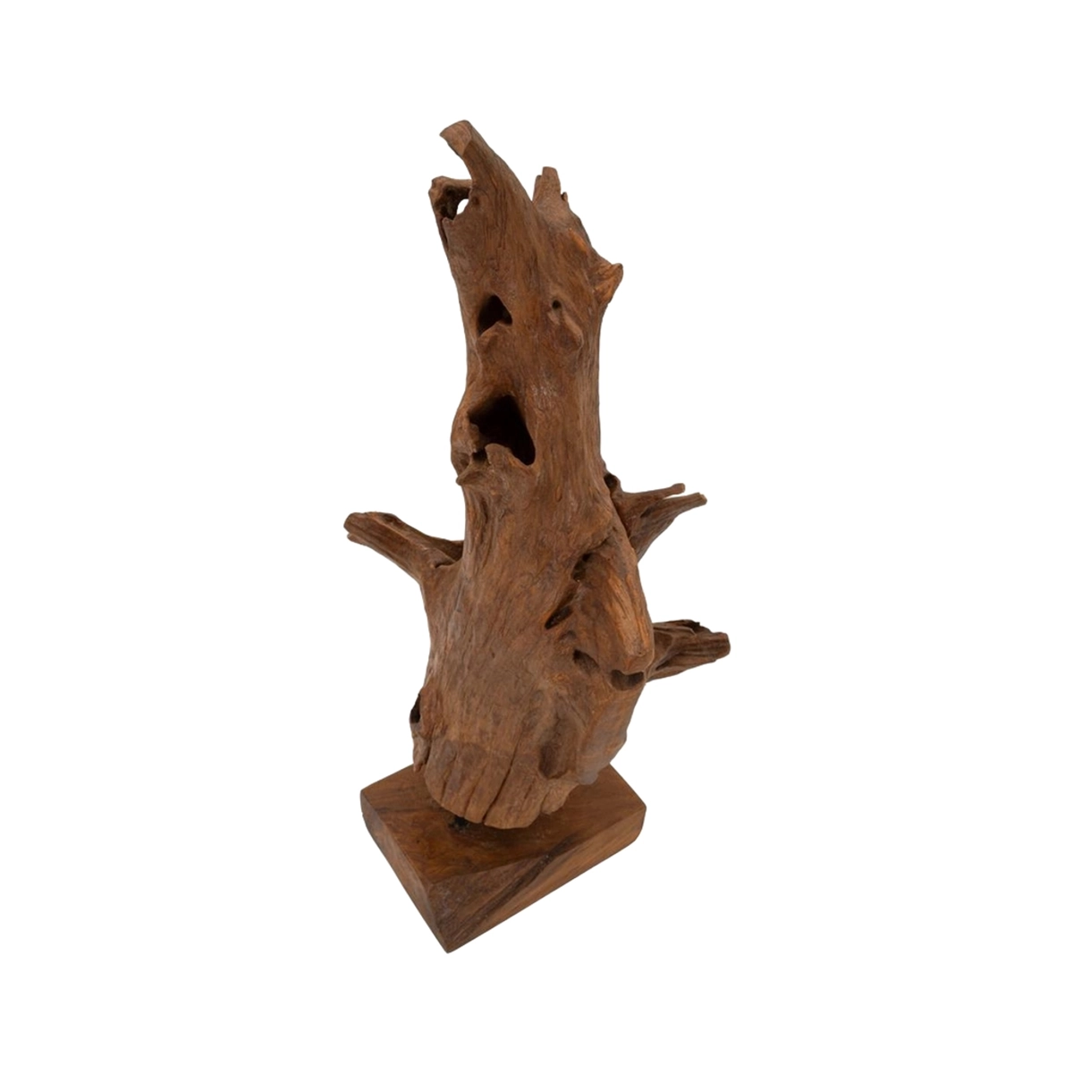 Handcrafted Ethnic Teak Wood Sculpture Akar Mauro Ferretti — 4