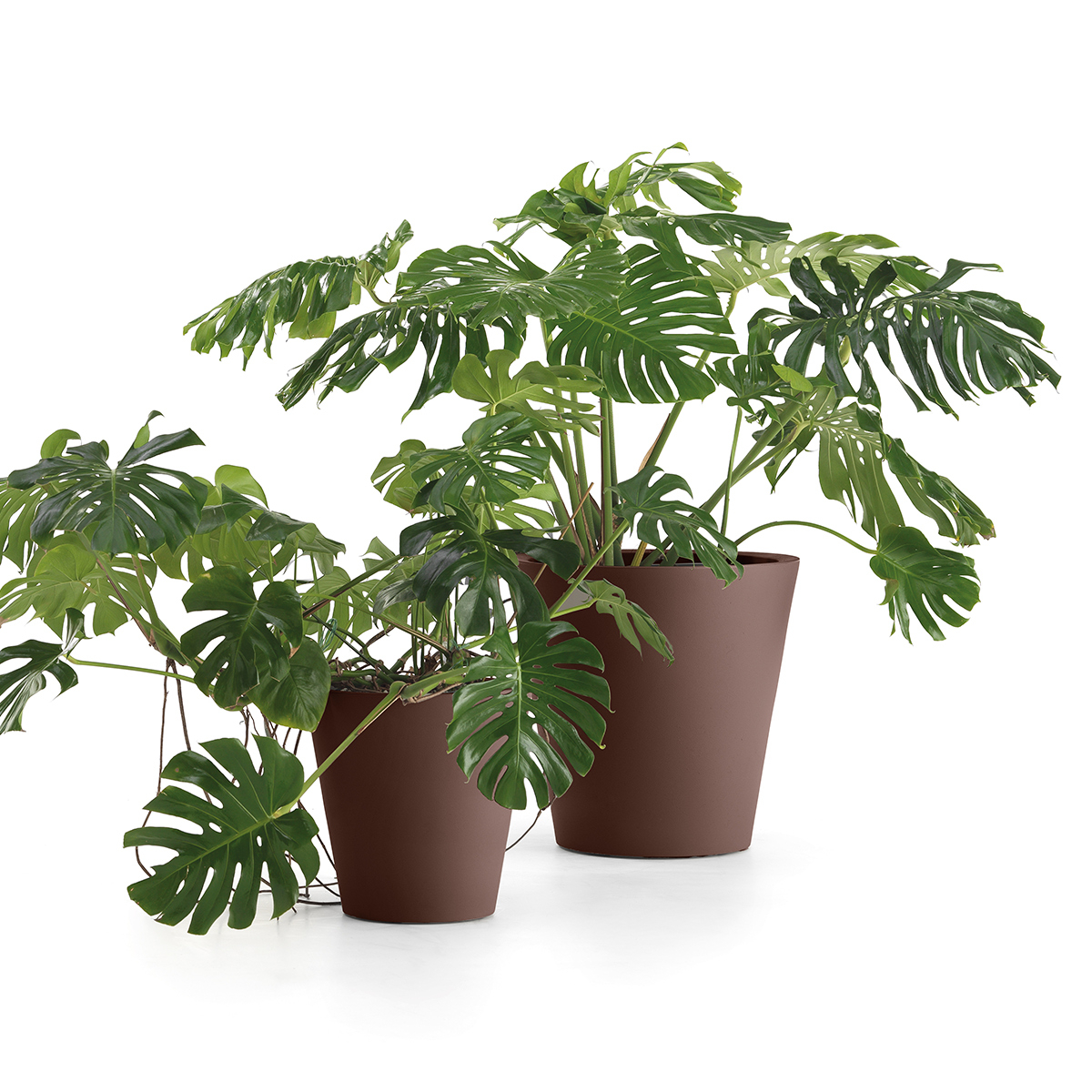 Loto 50 LYXO Modern Garden Planter Pot 50x50x50cm — 2