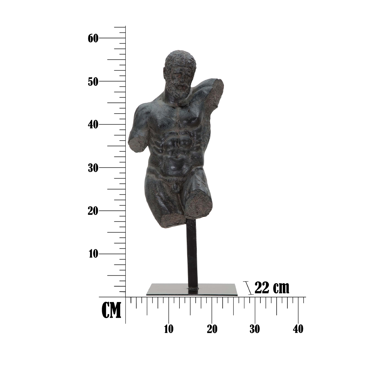 Mauro Ferretti Ercole Male Bust Sculpture in Black Resina — 6