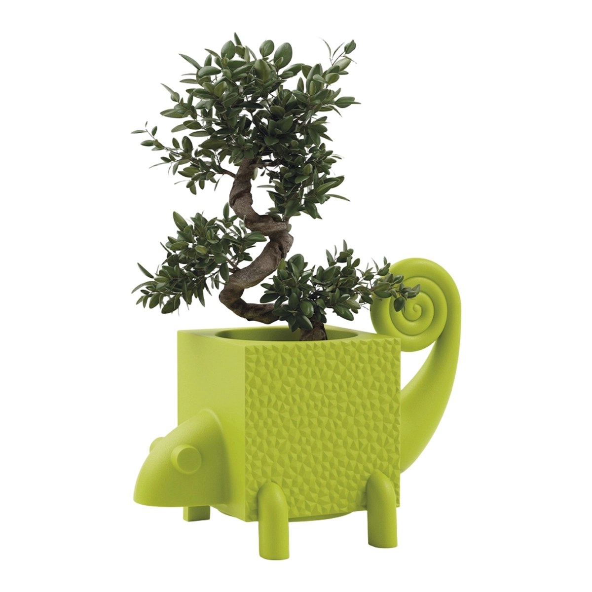 Modern Indoor and Outdoor Polyethylene Planter Cama LYXO — 2