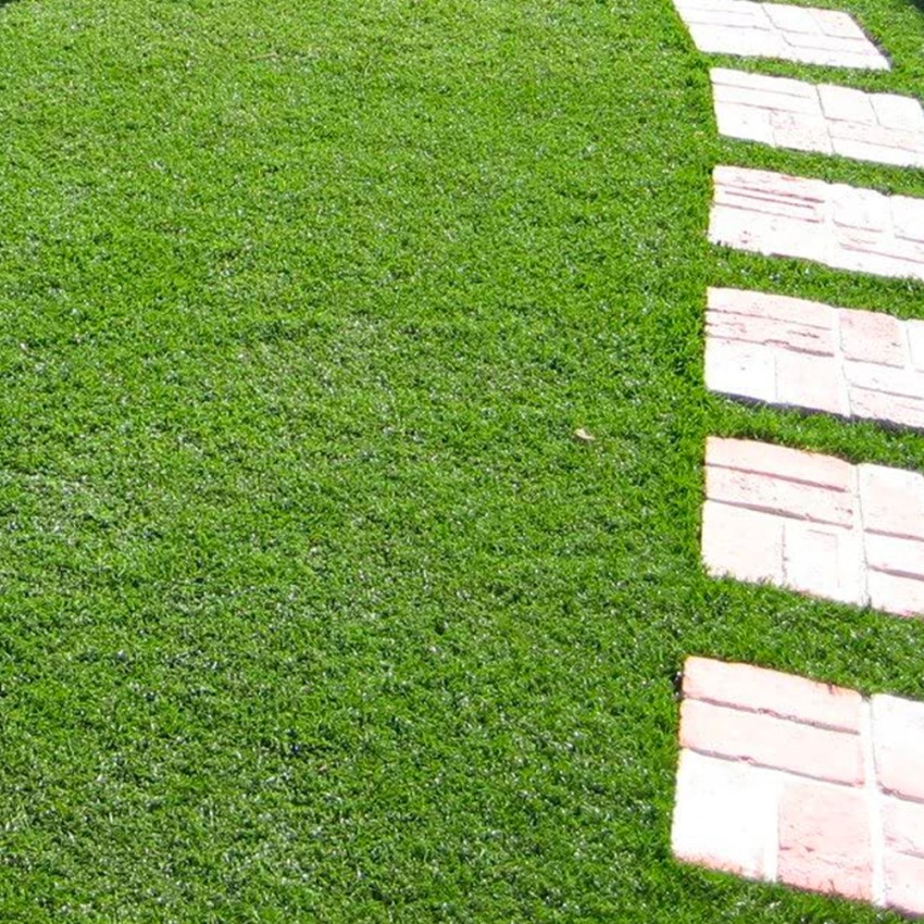 2x5m Artificial Grass Roll 10 sqm Lawn Green M Divina Garden — 2