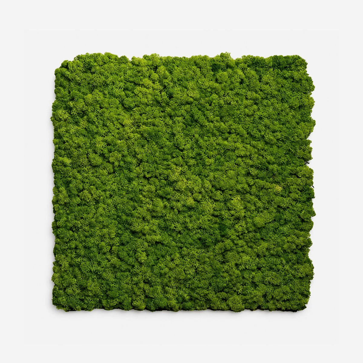 Decorative synthetic moss acoustic panels Stark — 3