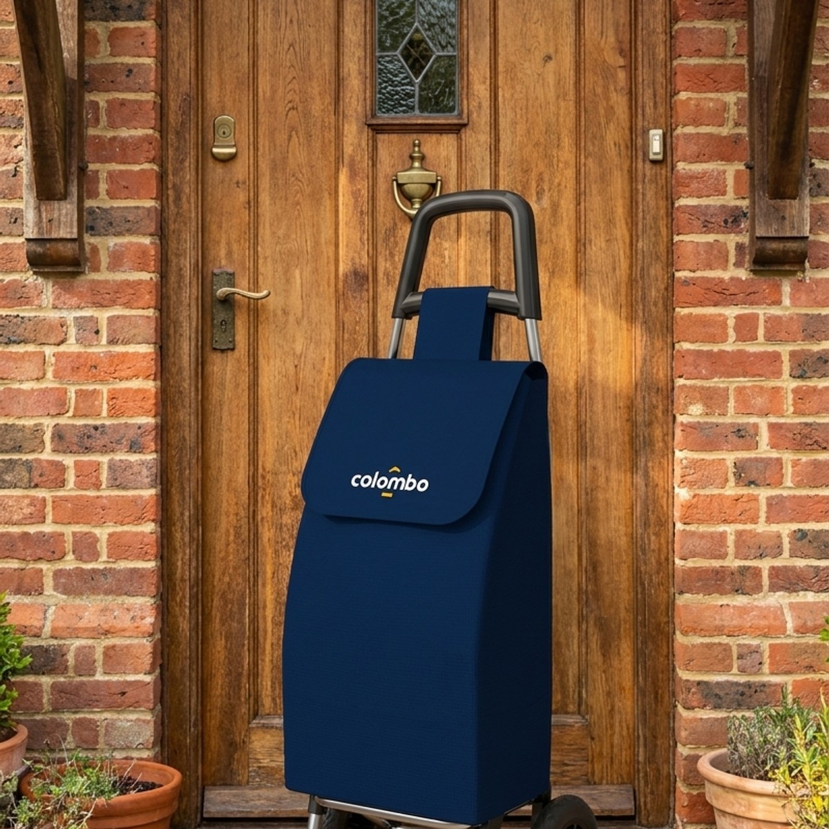 Carrello portaspesa in acciaio con sacca impermeabile Rolly