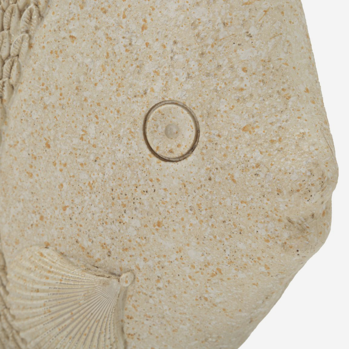 Pesce L Coastal Fish Tabletop Sculpture in Polyresin — 3