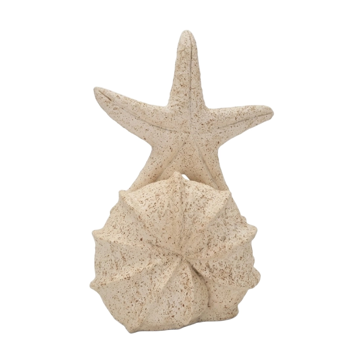 Indoor Coastal Sculpture Stella Marina with Seashell — 4