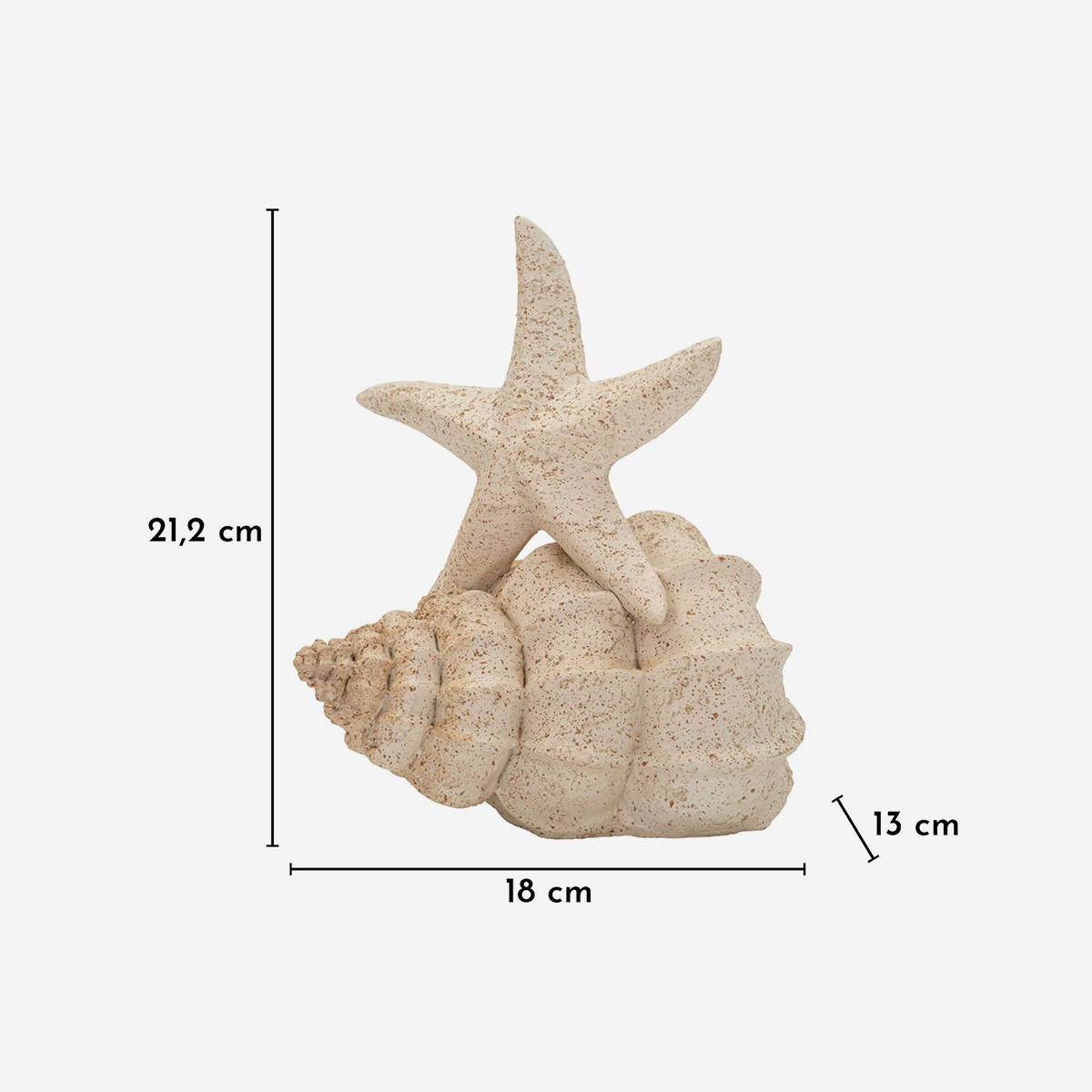 Indoor Coastal Sculpture Stella Marina with Seashell — 3