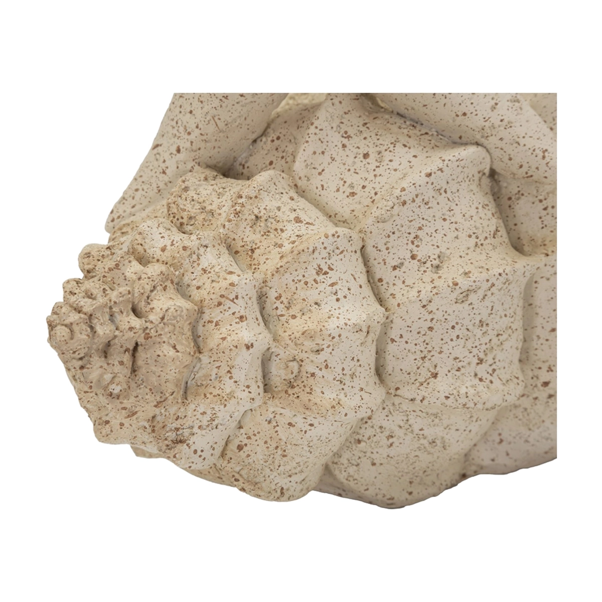 Indoor Coastal Sculpture Stella Marina with Seashell — 6