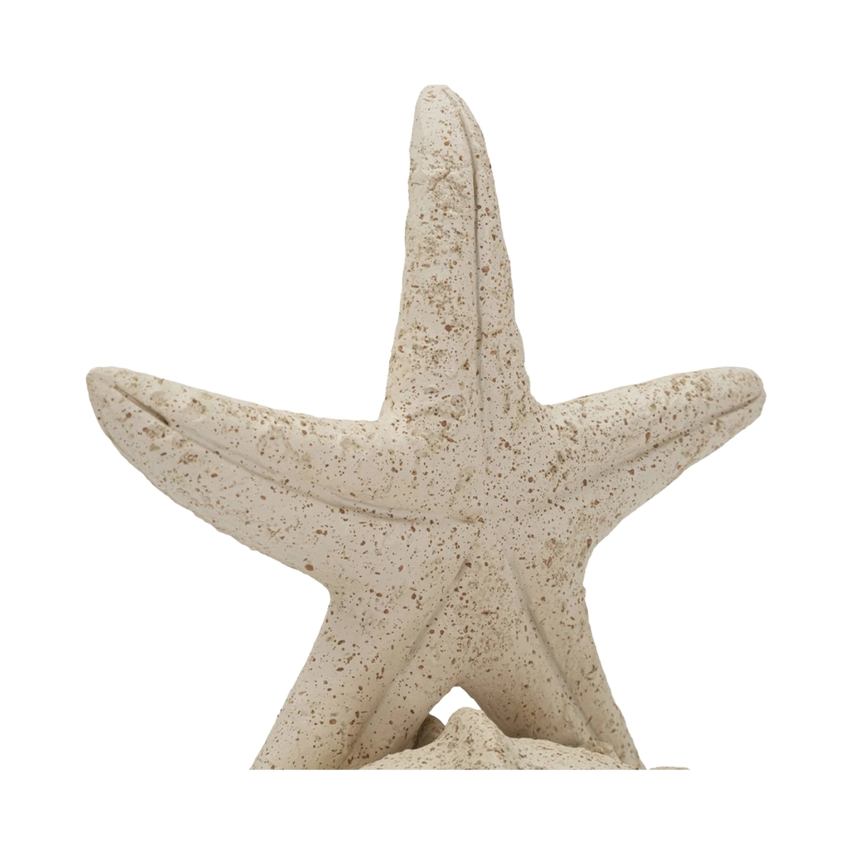 Indoor Coastal Sculpture Stella Marina with Seashell — 5