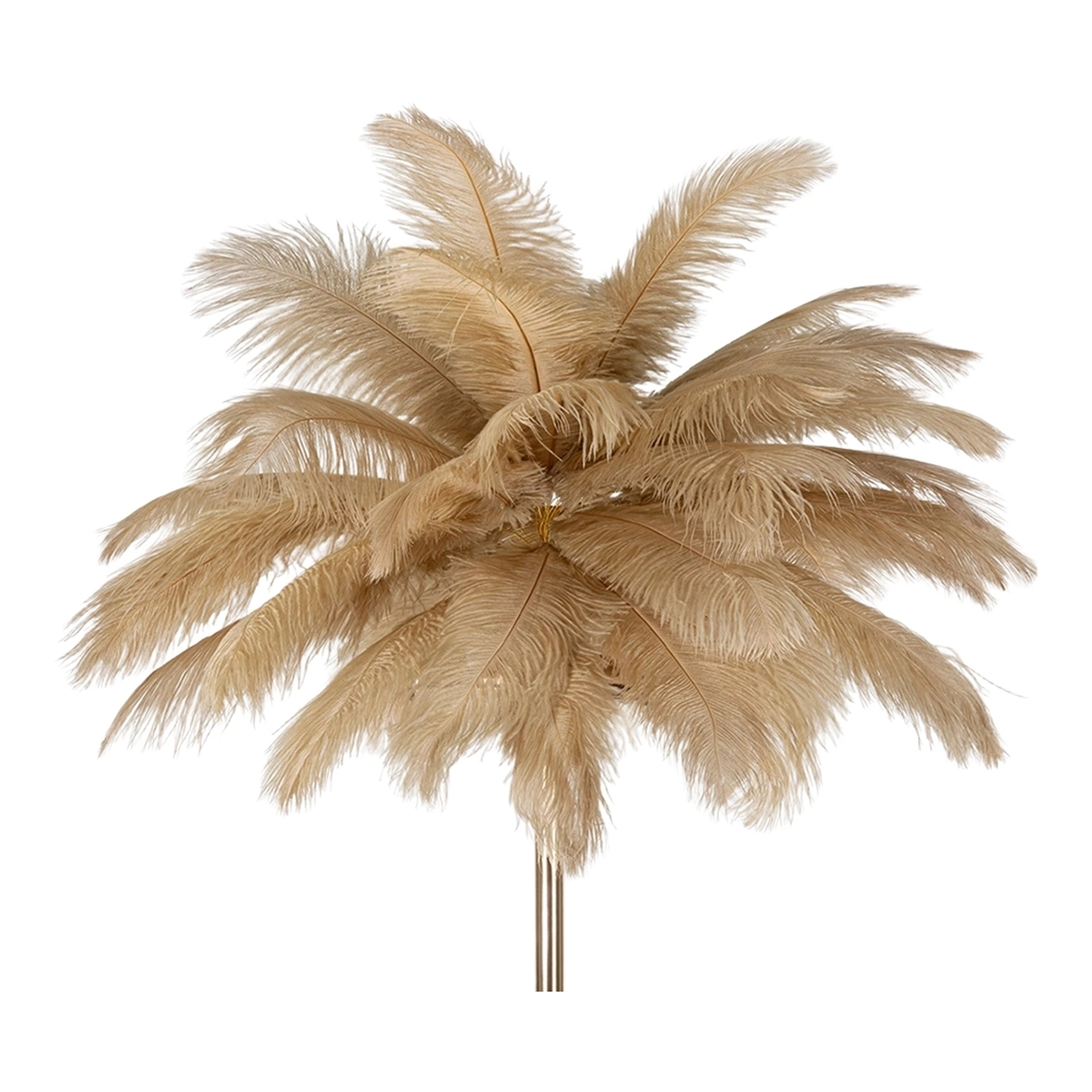 Floor Lamp with Feather Shade and 3 Lights H160cm Palm L — 4