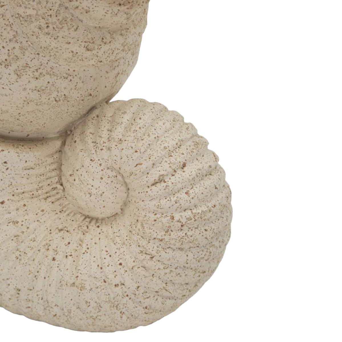 Conchiglia decorative tabletop polyresin sculpture — 4