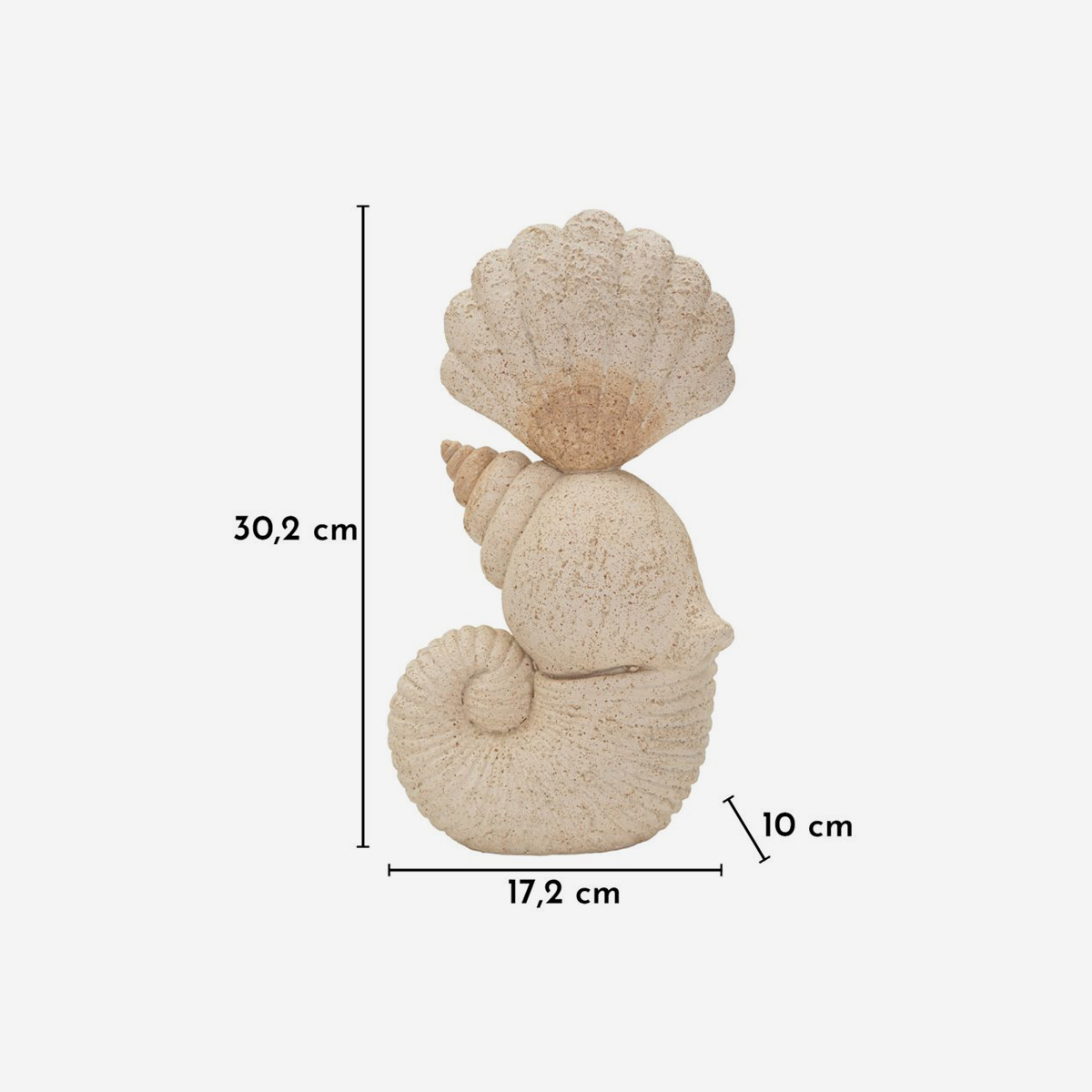 Conchiglia decorative tabletop polyresin sculpture — 3