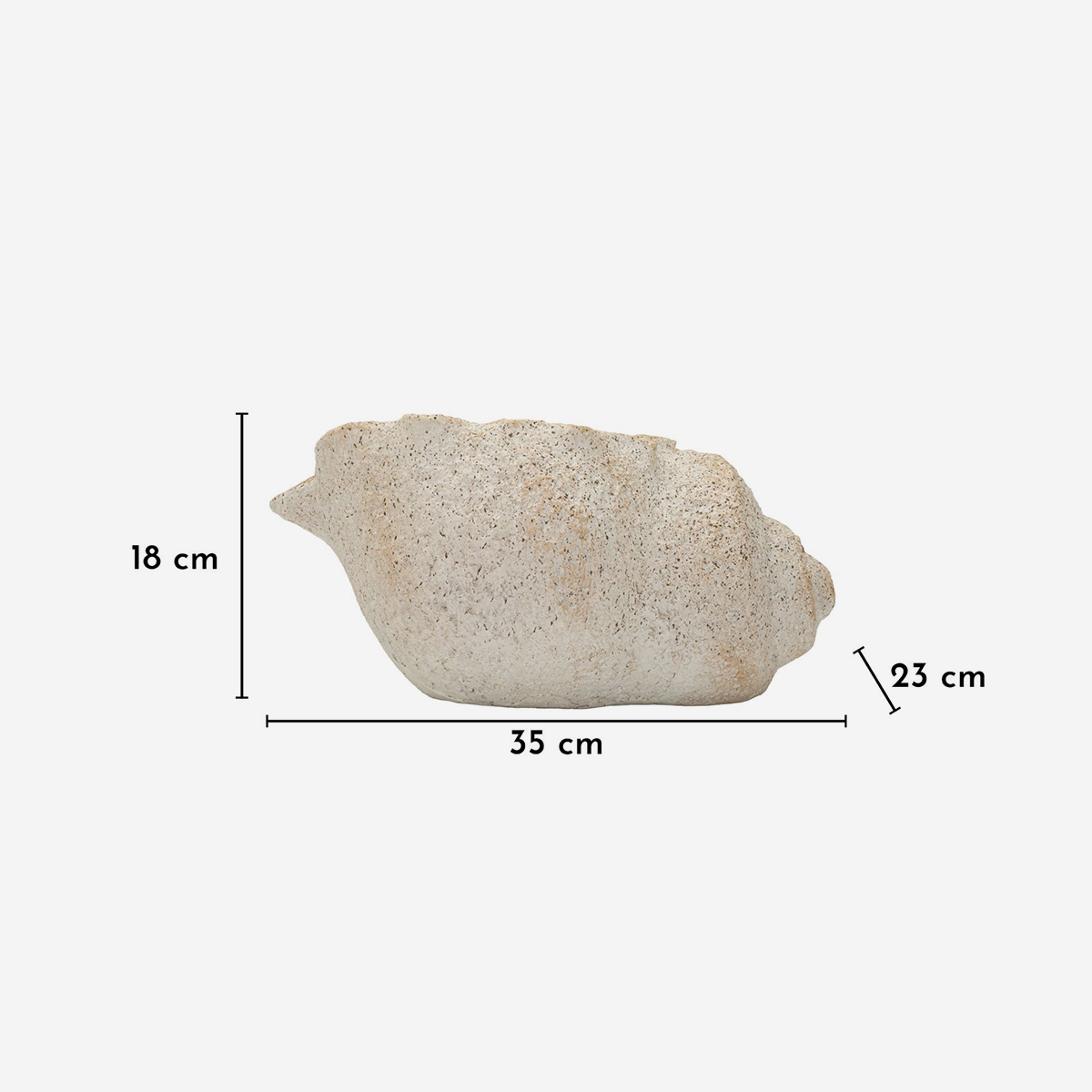Shell Sand B Shell Shaped Decorative Vase in MGO — 3