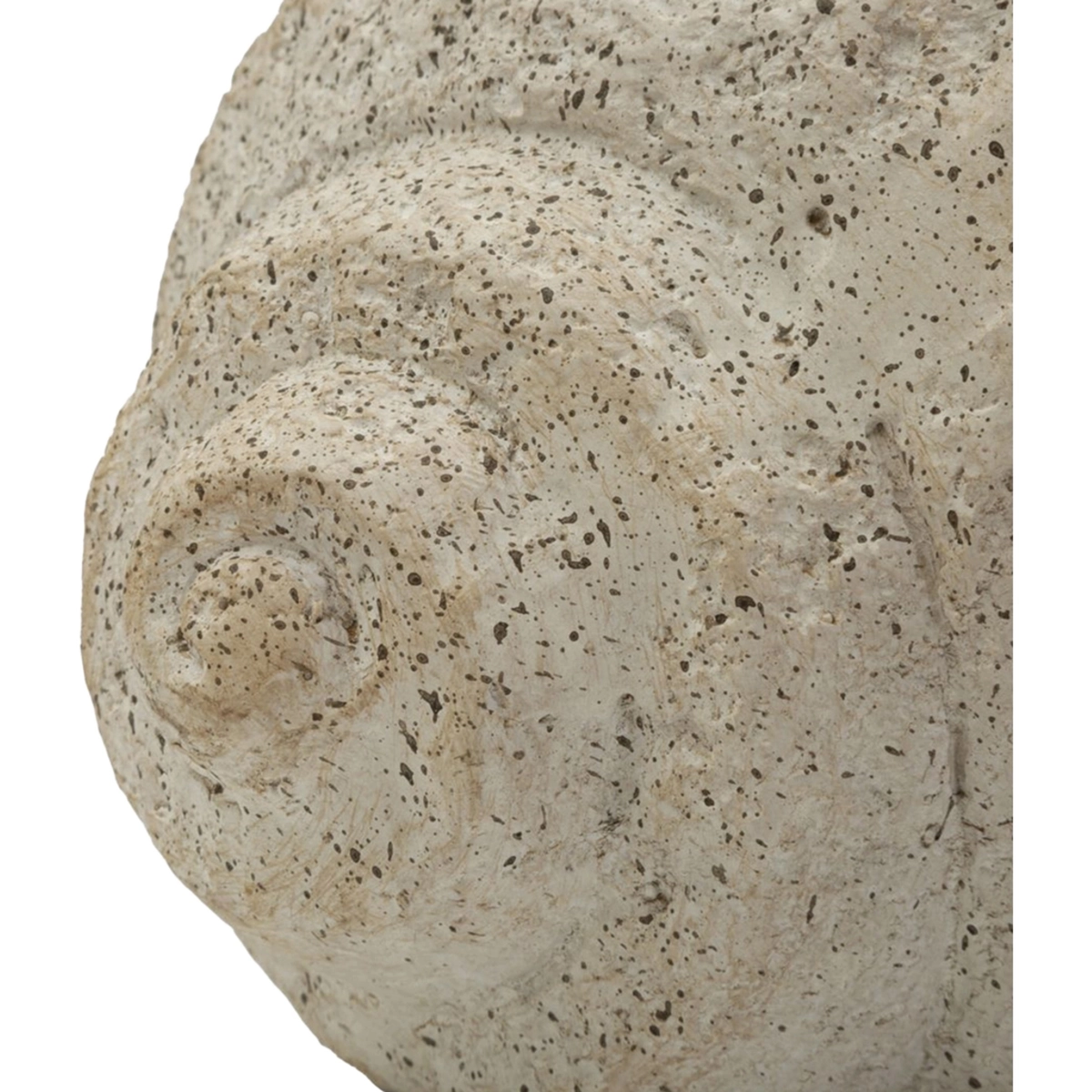 Shell Sand B Shell Shaped Decorative Vase in MGO — 6