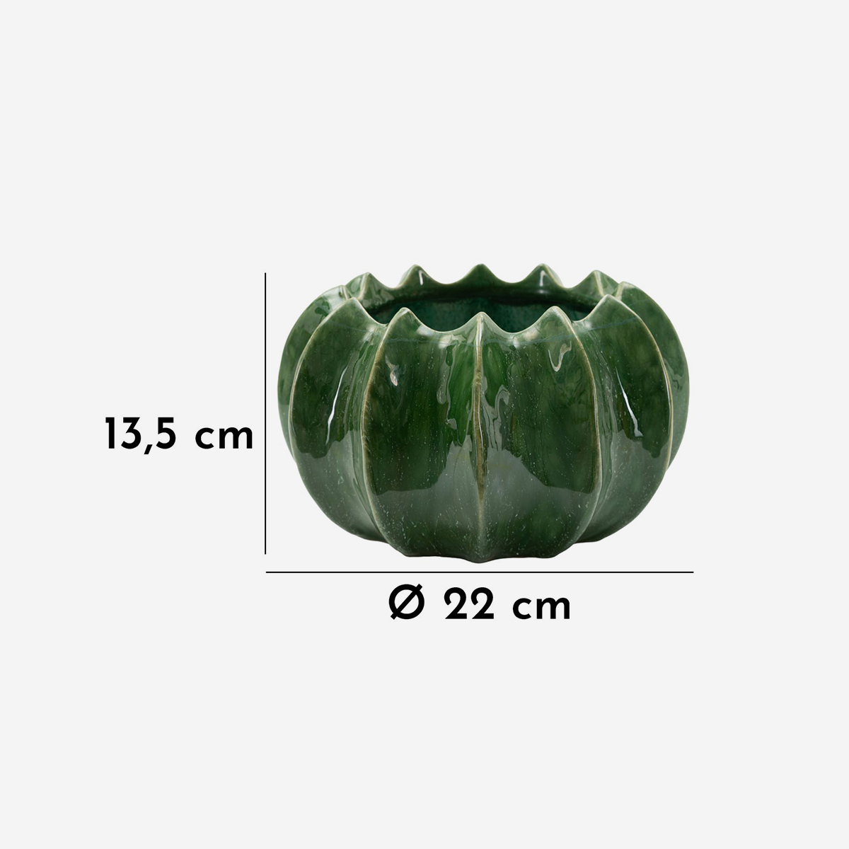 Cactus 13 Decorative Ceramic Cachepot Planter Mauro Ferretti — 3