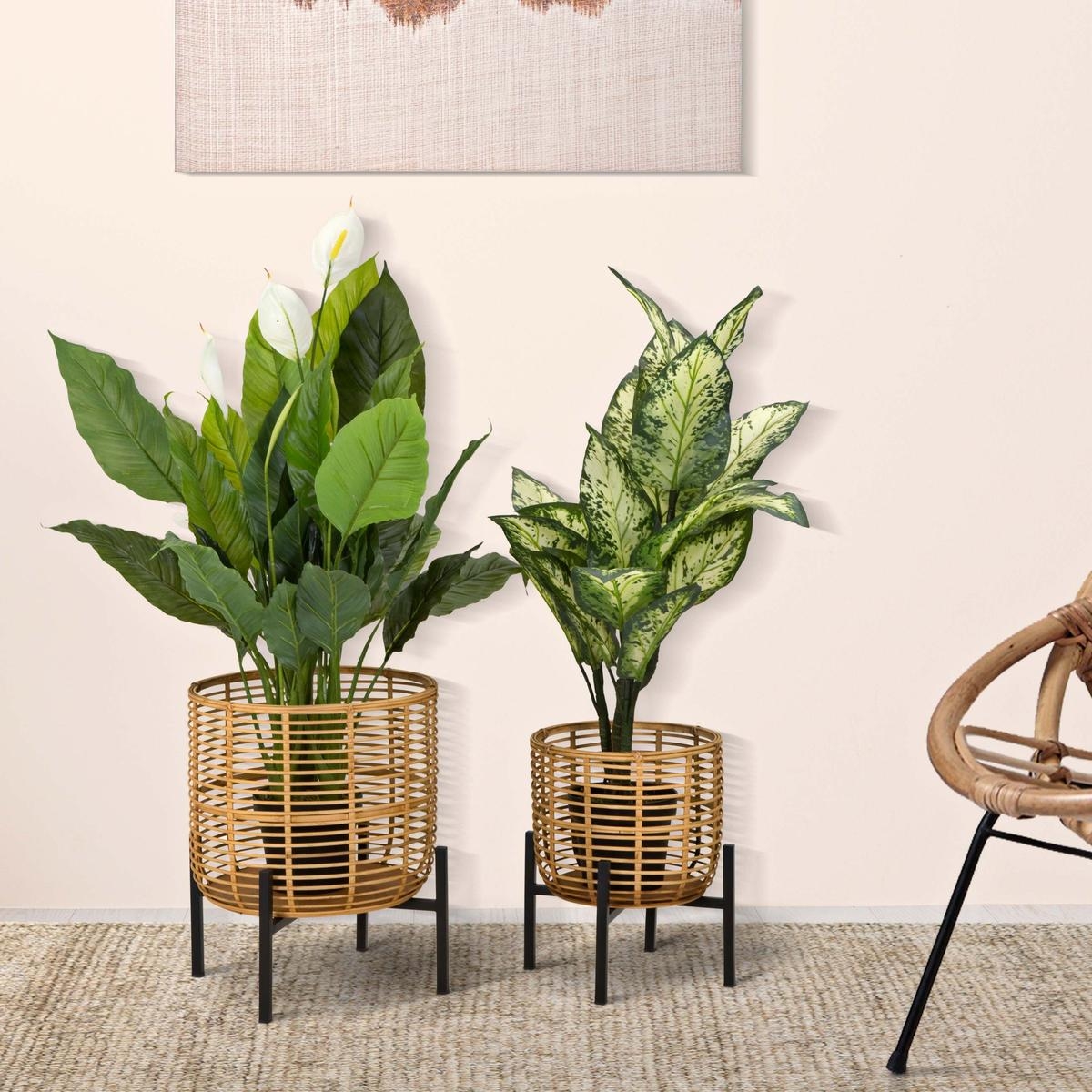 Zeyok Set of 2 Round Rattan Plant Stands with Black Metal Base — 2